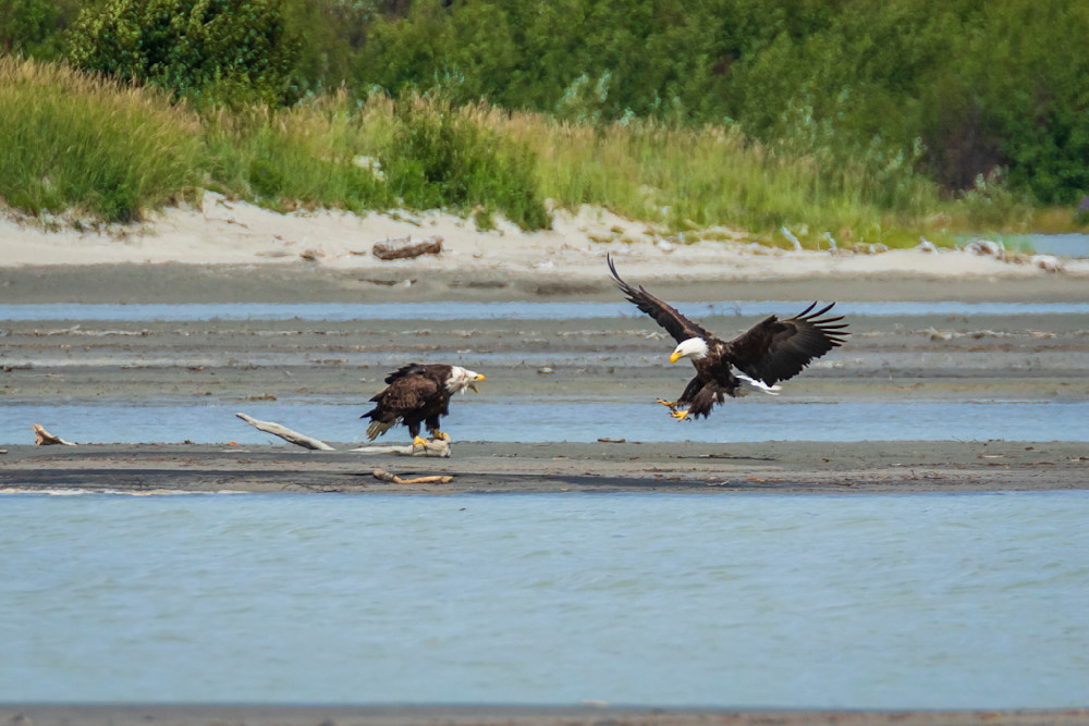 S00 A2143 Photography Art | Captured Adventure Photography