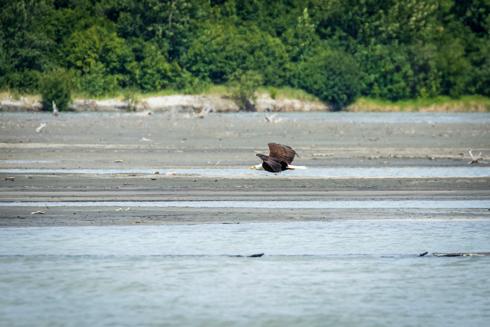 S00 A2101 Photography Art | Captured Adventure Photography