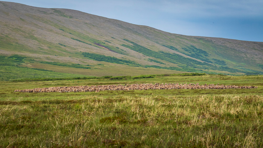 S00 A1812 Photography Art | Captured Adventure Photography