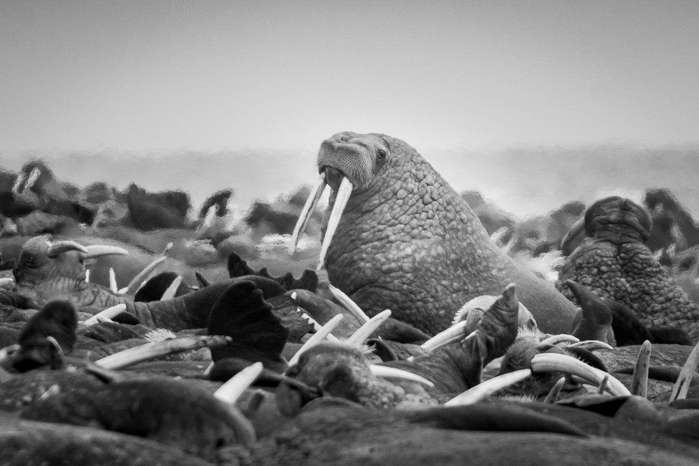 S00 A2425 1 Photography Art | Captured Adventure Photography