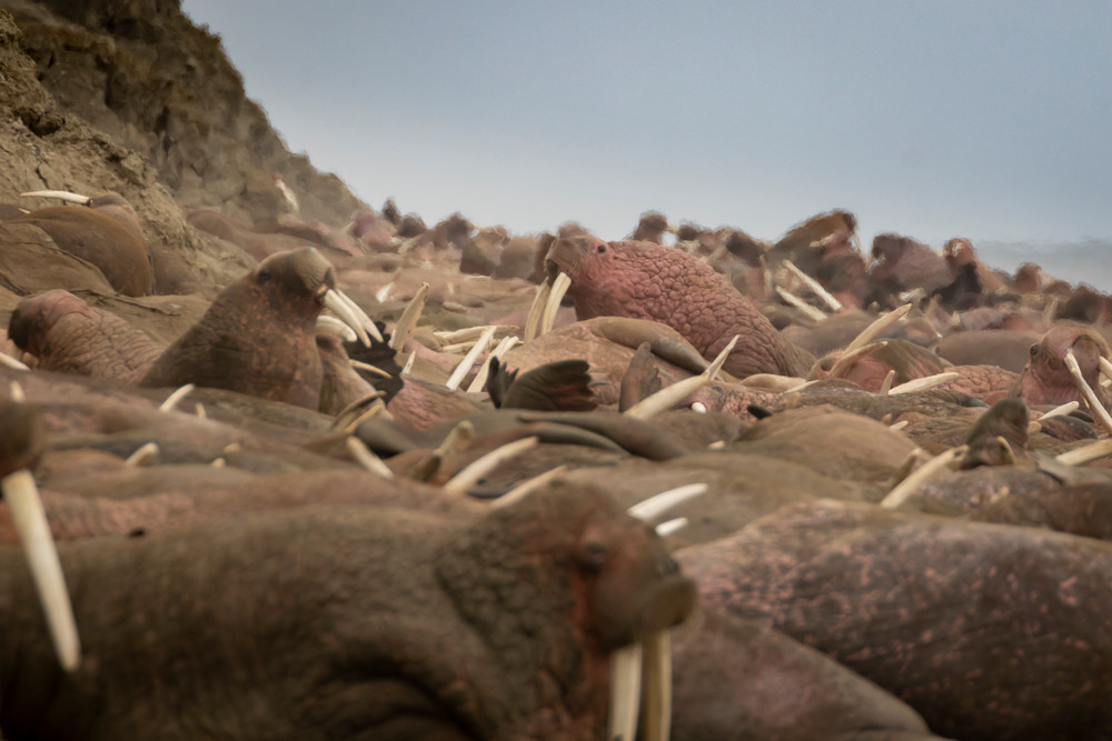 S00 A2412 Photography Art | Captured Adventure Photography