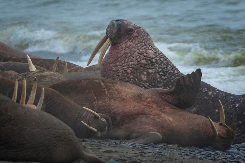 S00 A2513 1 Photography Art | Captured Adventure Photography