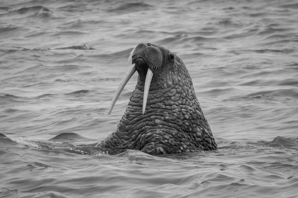 S00 A2488 1 Photography Art | Captured Adventure Photography