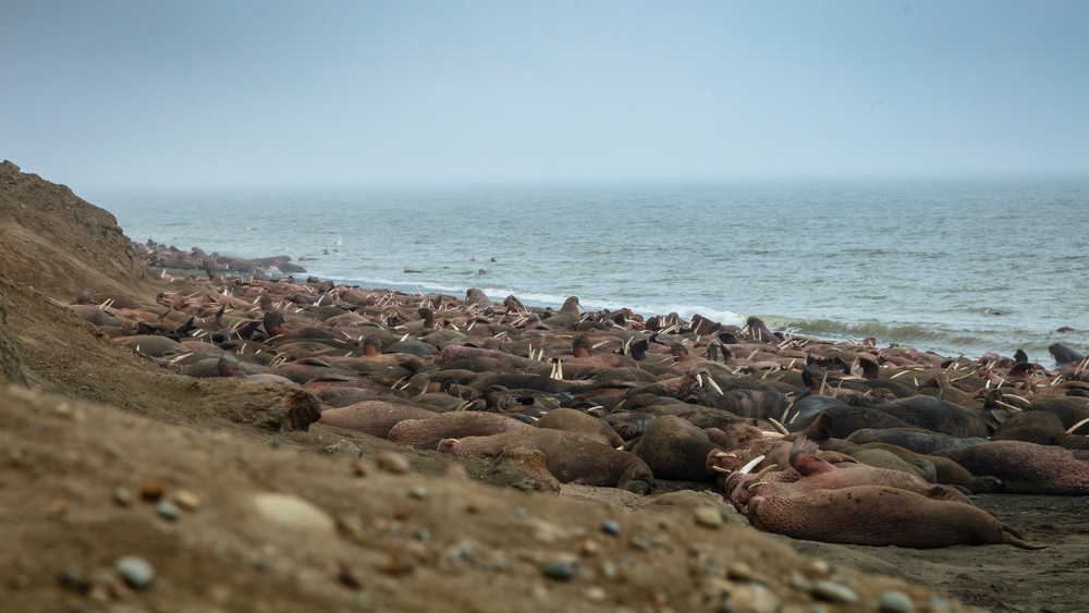 0 Y4 A4590 Photography Art | Captured Adventure Photography