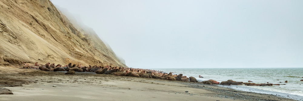 0 Y4 A4748 Photography Art | Captured Adventure Photography