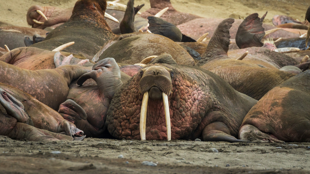 S00 A2731 Photography Art | Captured Adventure Photography