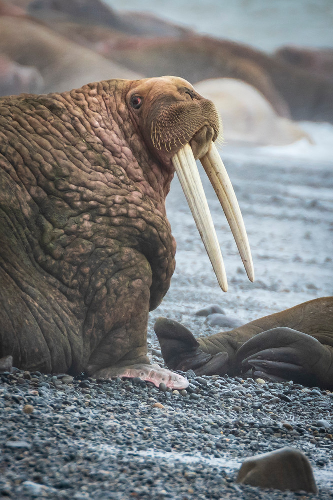 S00 A2845 2 Photography Art | Captured Adventure Photography