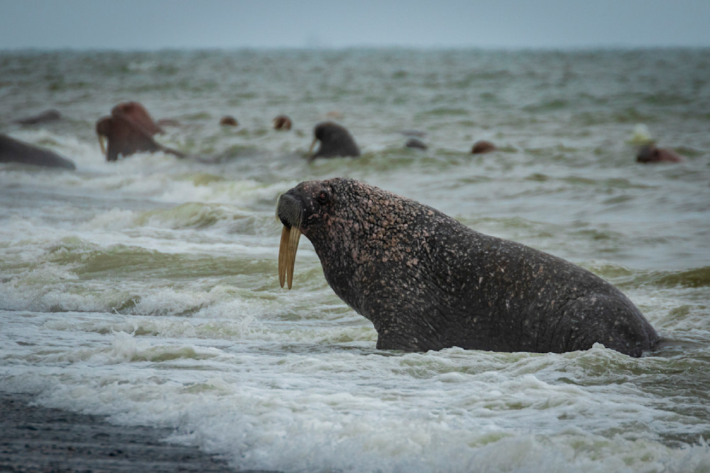 S00 A2825 Photography Art | Captured Adventure Photography