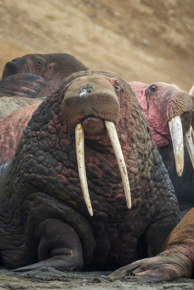 S00 A3020 Photography Art | Captured Adventure Photography