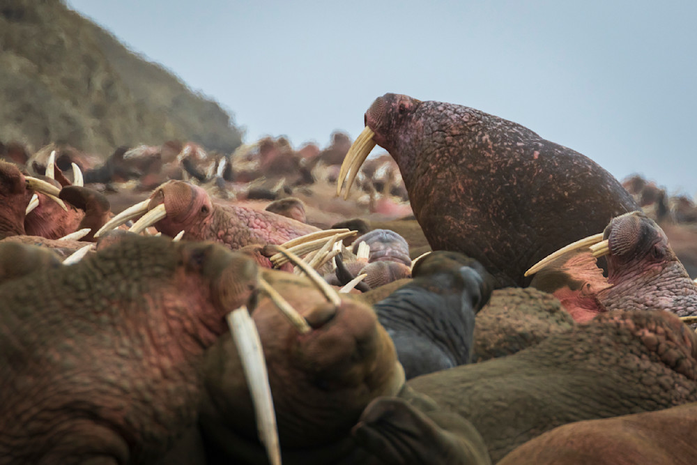 S00 A3013 Photography Art | Captured Adventure Photography