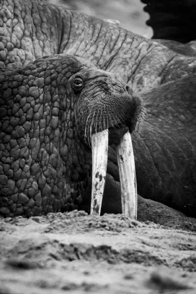 S00 A3077 2 Photography Art | Captured Adventure Photography