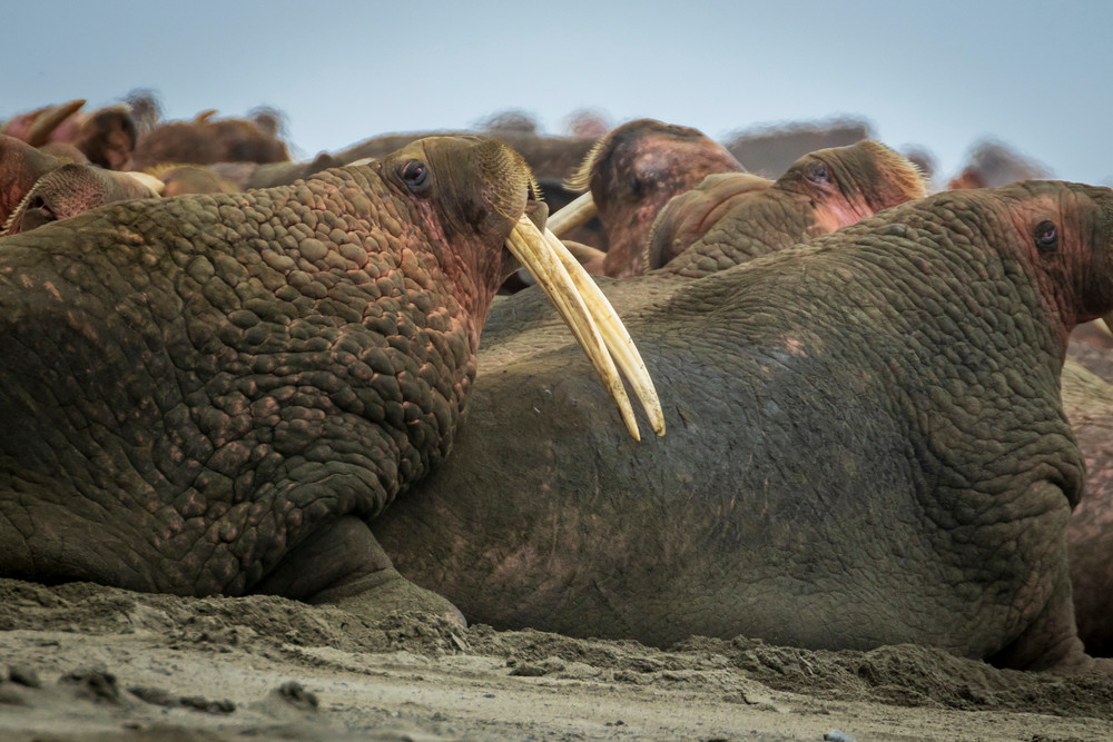 S00 A3093 Photography Art | Captured Adventure Photography