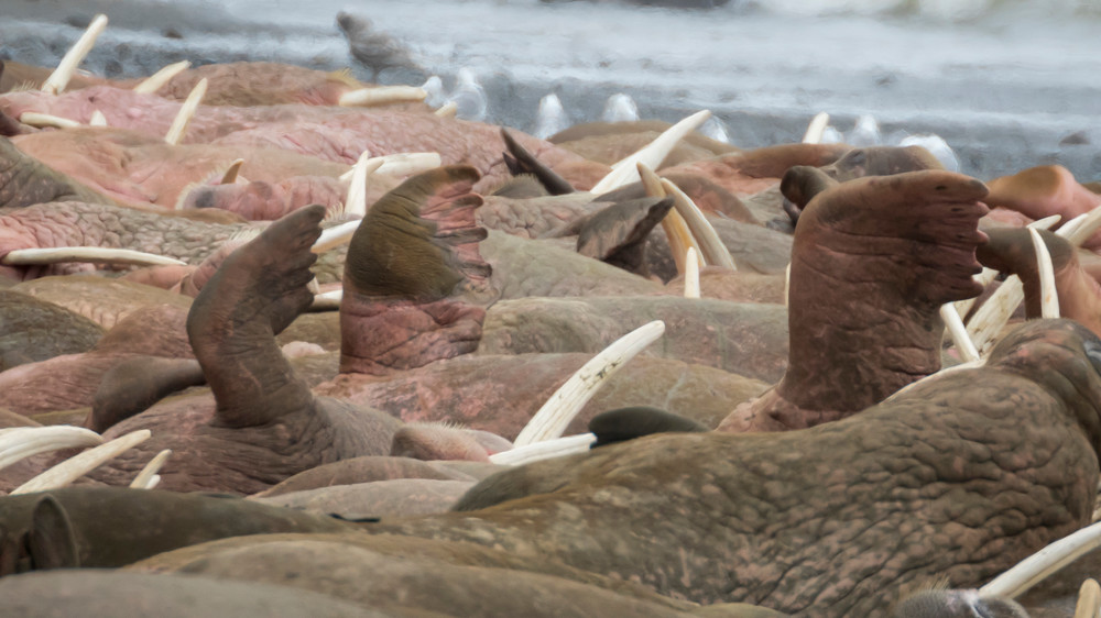 S00 A3374 Photography Art | Captured Adventure Photography