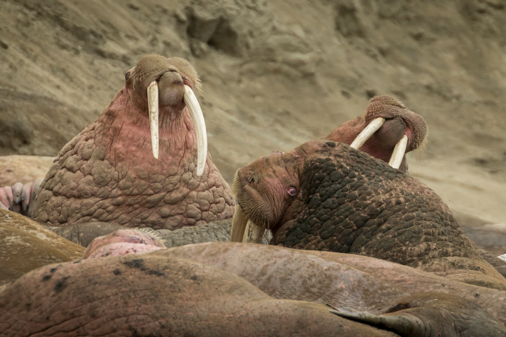 S00 A3225 Photography Art | Captured Adventure Photography