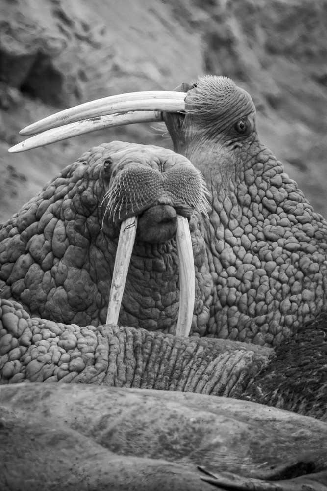 S00 A3241 1 Photography Art | Captured Adventure Photography