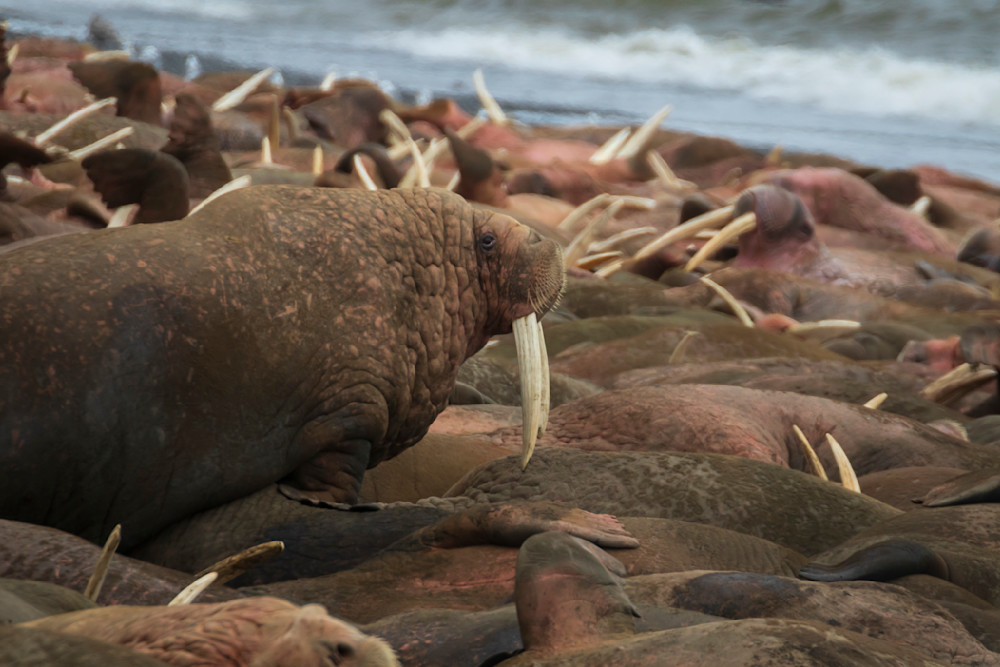 S00 A3404 Photography Art | Captured Adventure Photography