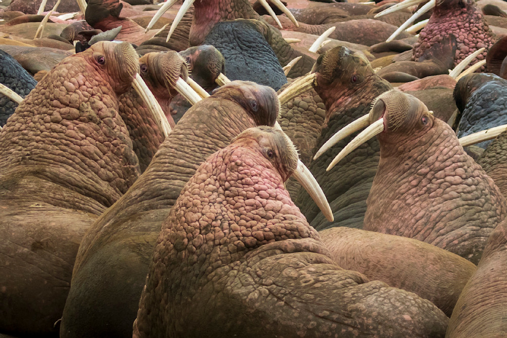 S00 A4358 Photography Art | Captured Adventure Photography