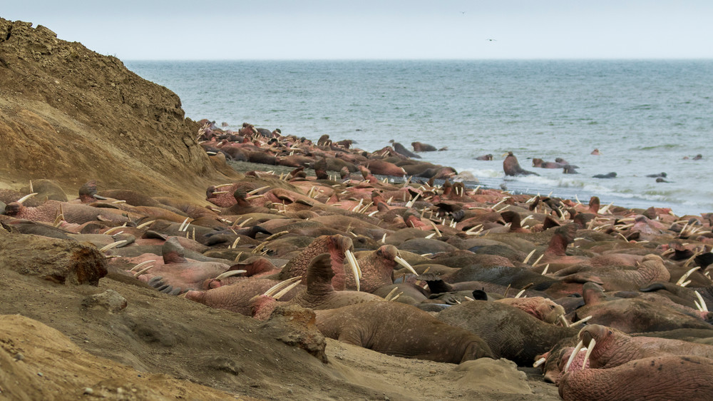 S00 A3423 Photography Art | Captured Adventure Photography