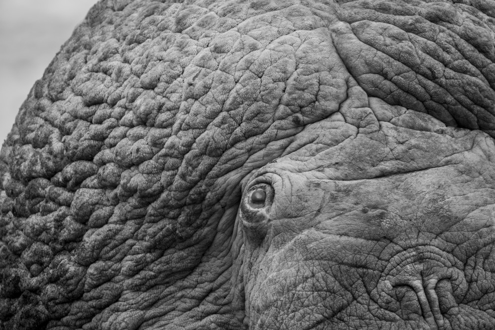 S00 A5159 Photography Art | Captured Adventure Photography