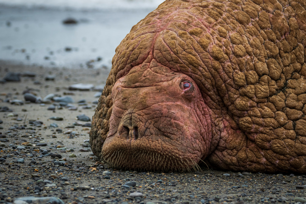 S00 A5182 Photography Art | Captured Adventure Photography