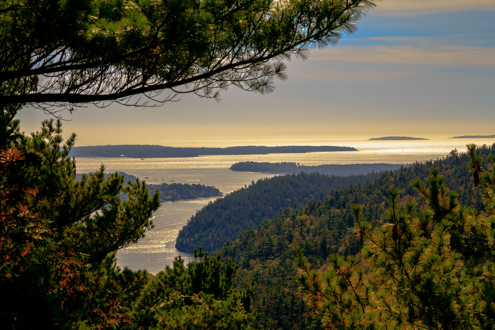 Through The Trees Photography Art | Nelson Rudiak Photography 