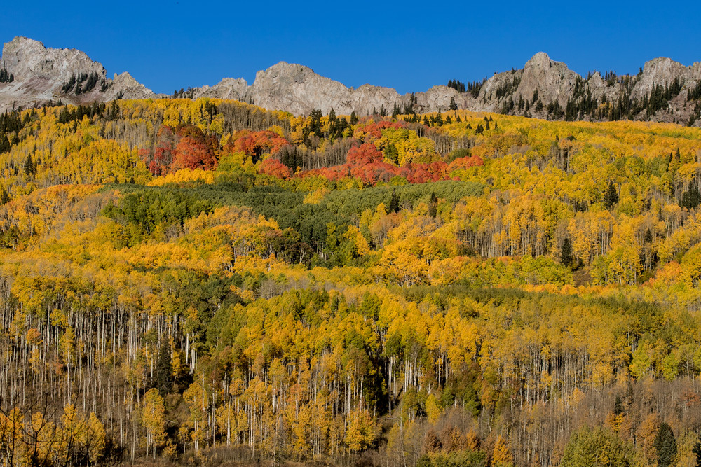 Autumn Color At Kebler Pass Colorado Photography Art | Kirk Fry Photography, LLC
