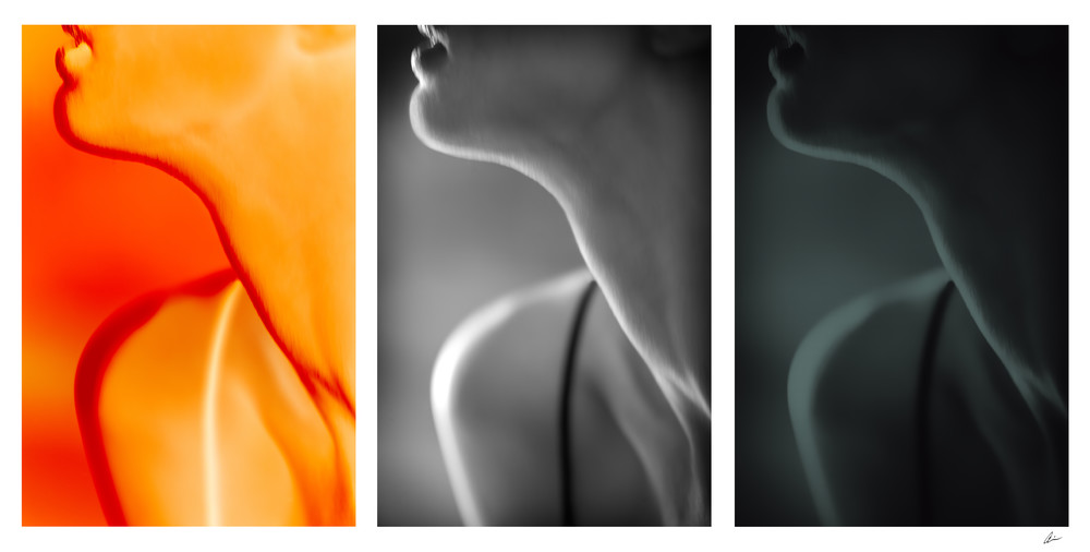 Beauty, neck, curves, lines, fine-art