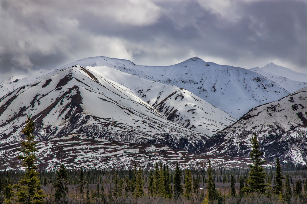 Denali Highway View  Photography Art | Nelson Rudiak Photography 