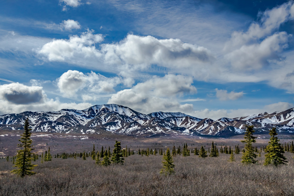 Inside Denali Np Photography Art | Nelson Rudiak Photography 