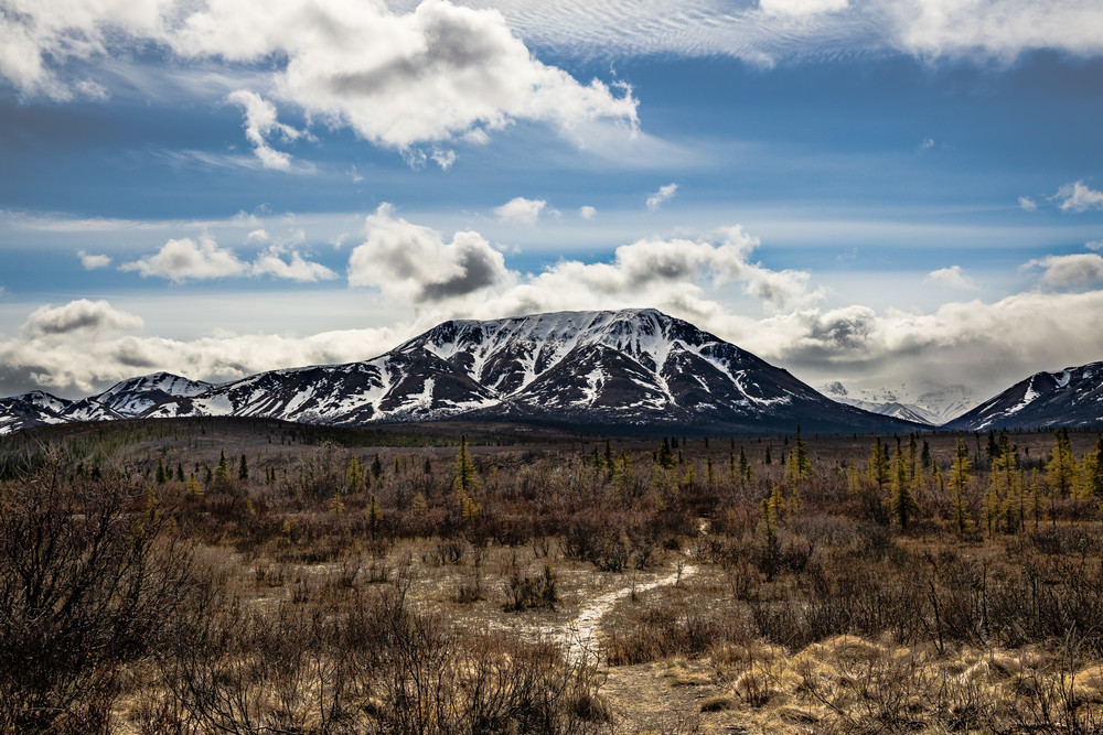 Mountain Vista Trail Photography Art | Nelson Rudiak Photography 