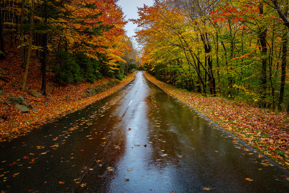 Autumn In Acadia Photography Art | Nelson Rudiak Photography 