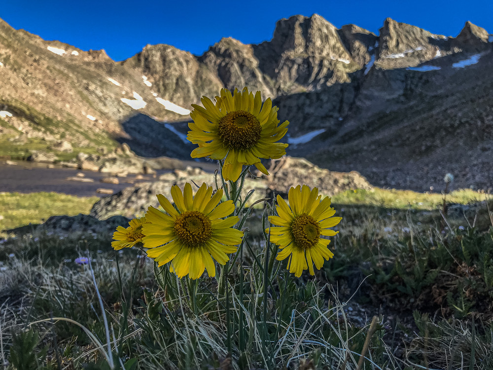 Old Men Of The Mountains Photography Art | Majestic Mountain Photos