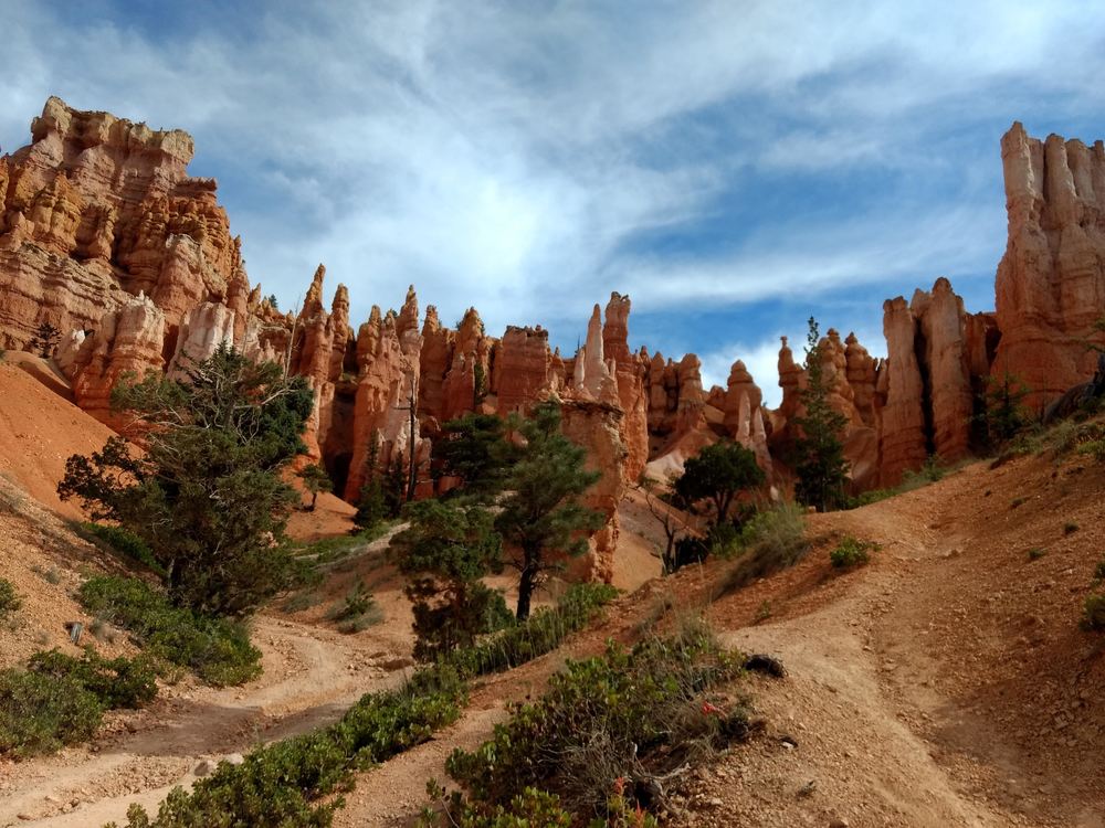 Bryce Canyon View From The Floor Photography Art | Christopher Scott Photography