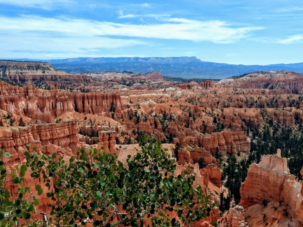 Bryce Canyon View From The Rim Photography Art | Christopher Scott Photography