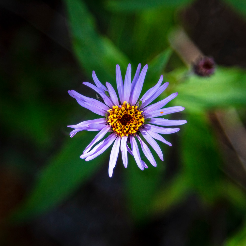 0 Y4 A7711 Photography Art | Captured Adventure Photography