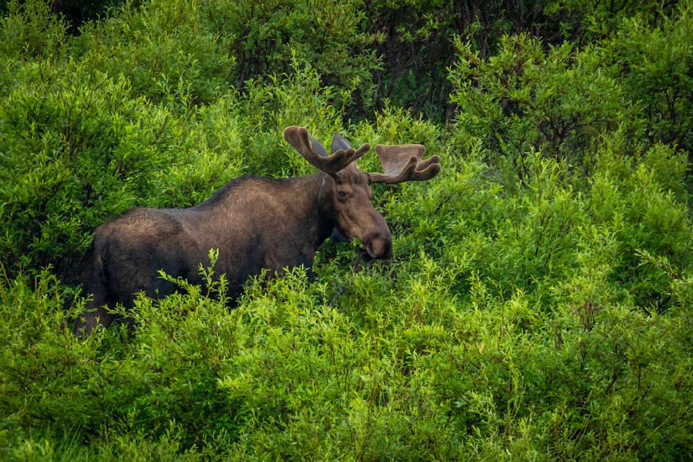 S00 A7552 Photography Art | Captured Adventure Photography