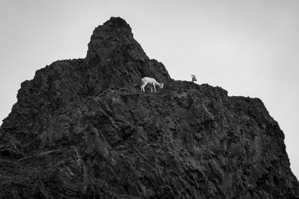 S00 A7729 Photography Art | Captured Adventure Photography