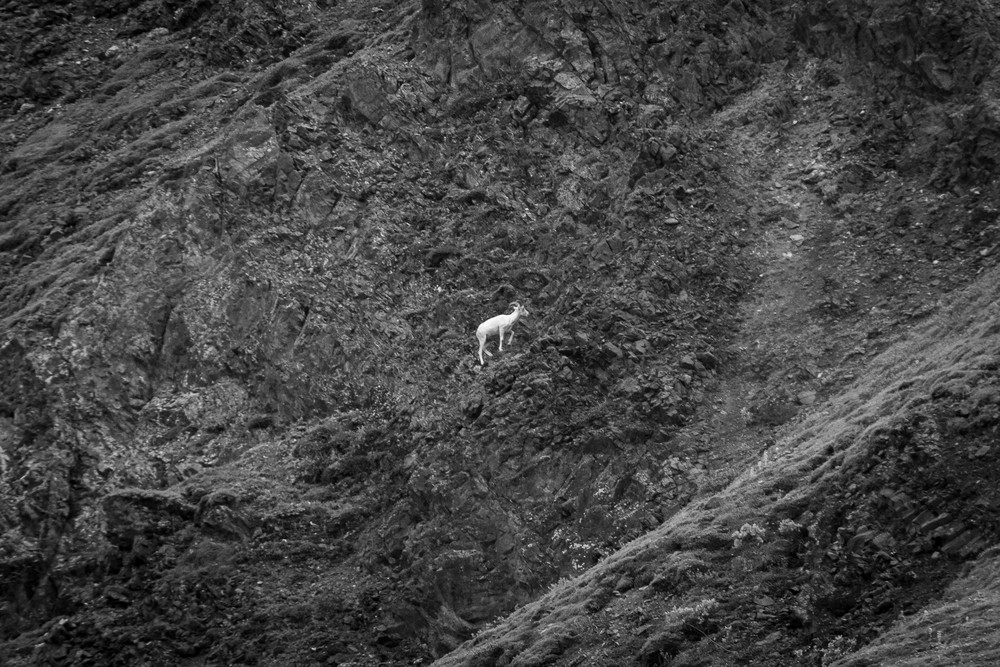 S00 A7718 Photography Art | Captured Adventure Photography