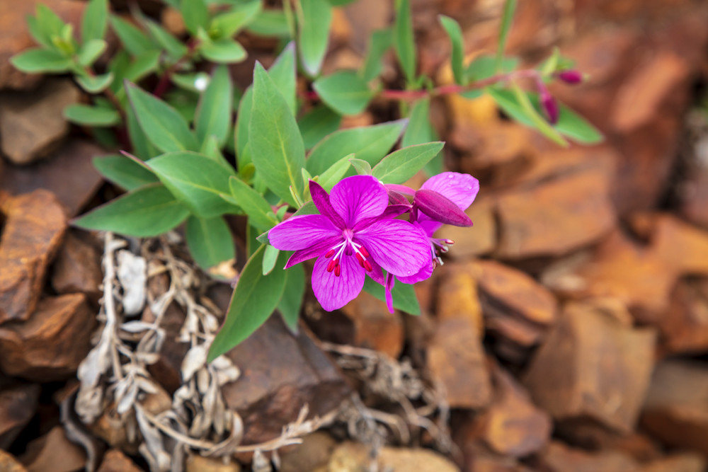 0 Y4 A5638 Photography Art | Captured Adventure Photography