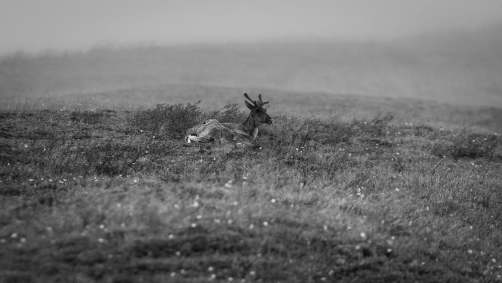 S00 A7998 1 Photography Art | Captured Adventure Photography