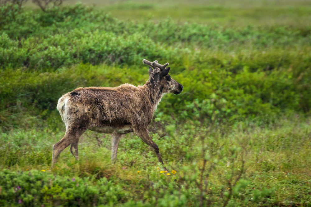 S00 A8072 Photography Art | Captured Adventure Photography