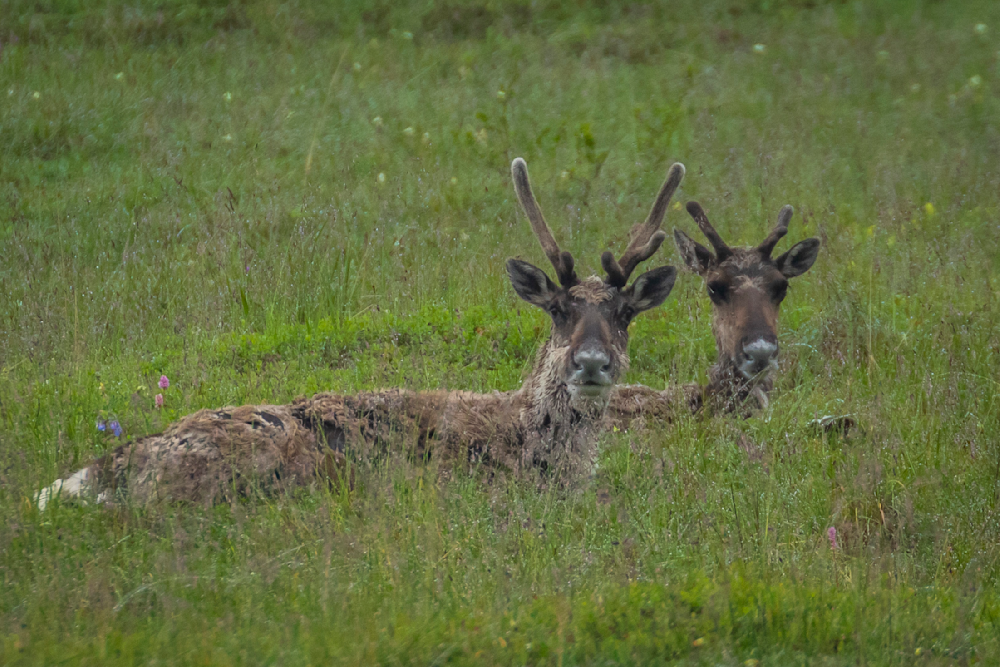 S00 A8127 Photography Art | Captured Adventure Photography