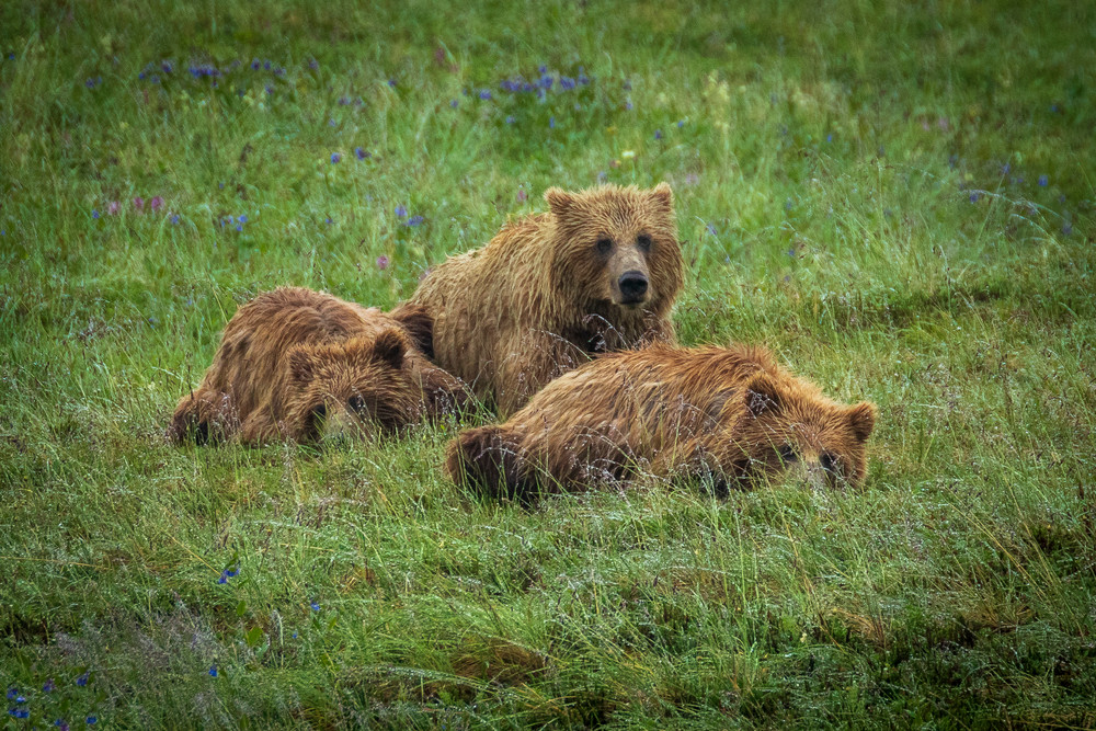 S00 A8241 Photography Art | Captured Adventure Photography