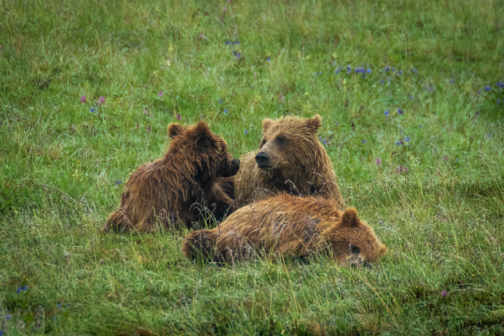 S00 A8334 Photography Art | Captured Adventure Photography