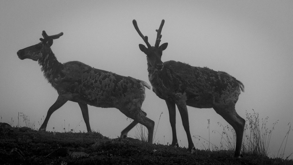 S00 A8618 Photography Art | Captured Adventure Photography