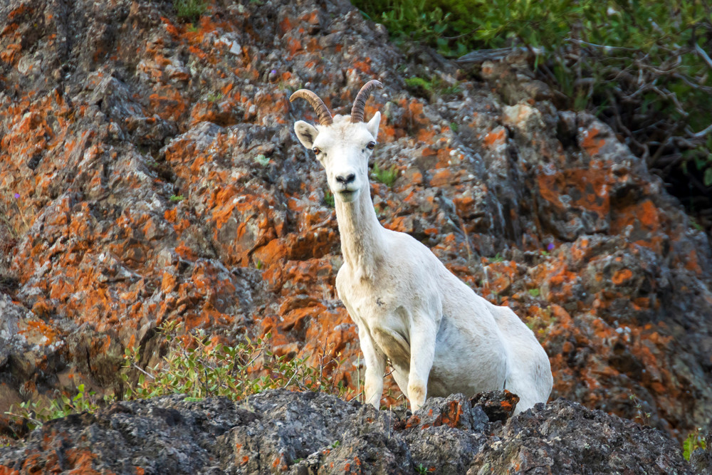 S00 A2242 Photography Art | Captured Adventure Photography