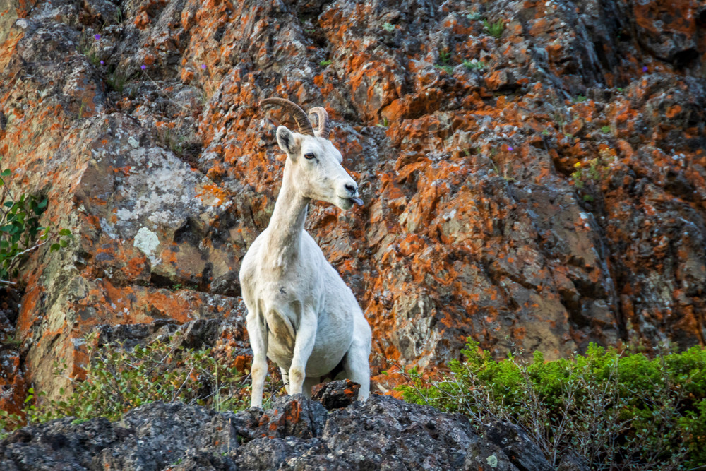 S00 A2256 Photography Art | Captured Adventure Photography