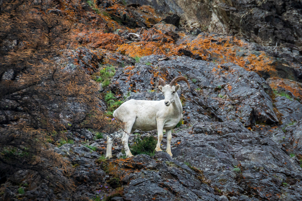 S00 A7248 Photography Art | Captured Adventure Photography