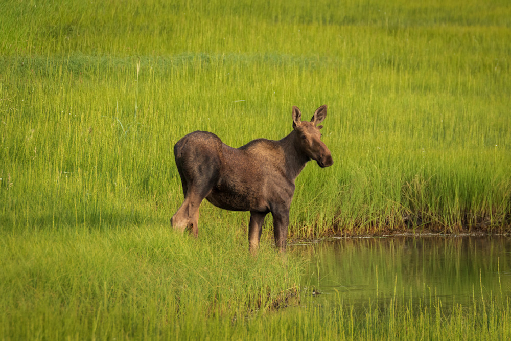 S00 A7400 Photography Art | Captured Adventure Photography