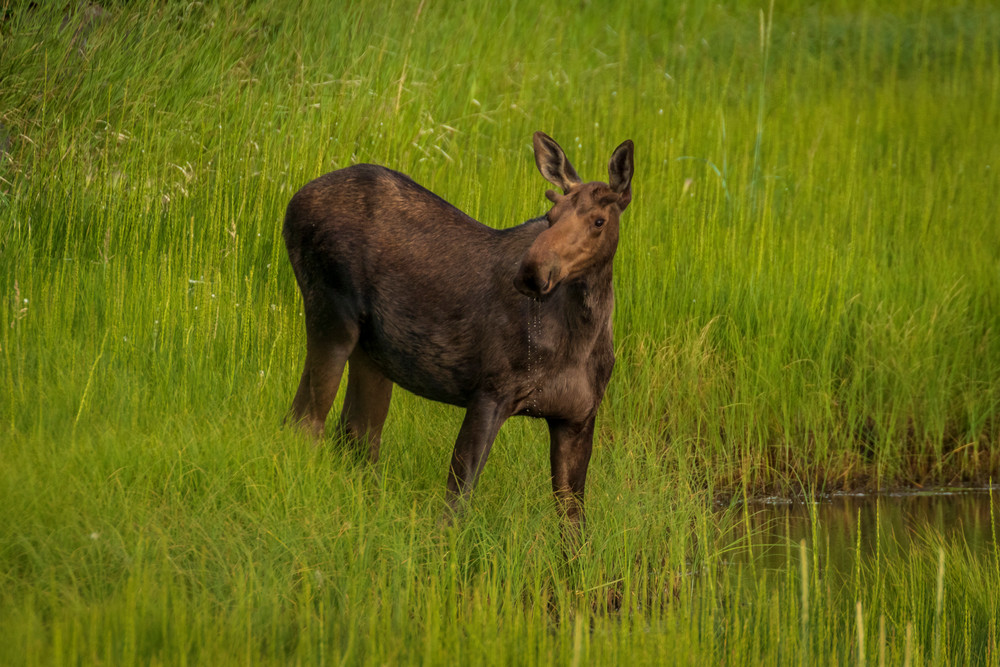 S00 A7475 Photography Art | Captured Adventure Photography